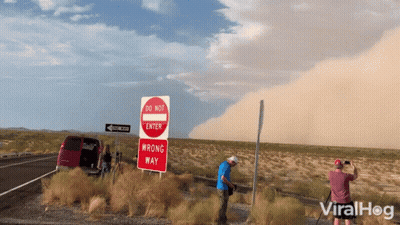Man Photographing Do Not Enter And Wrong Way Signs GIF
