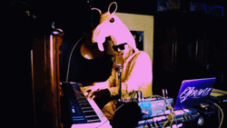 Man Piano Wearing Llama Costume GIF