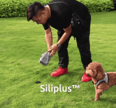 Man Picking Up Dog Poop With Siliplus TM GIF