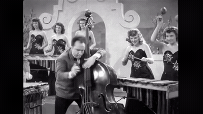Man Playing Double Bass GIF