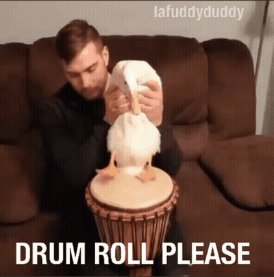 Man Playing Drum With Duck Drum Roll Please GIF