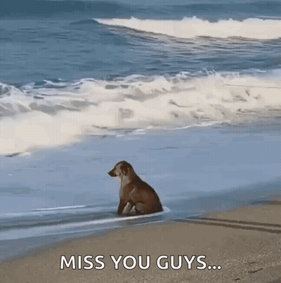 Man Playing Flute With Mouse On Shoulder GIF