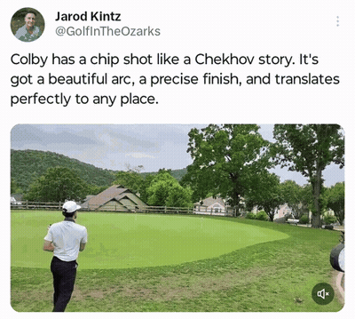 Man Playing Golf GIF