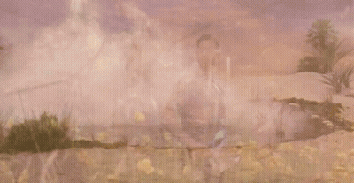 Man Playing Guitar In Dandelion Field GIF