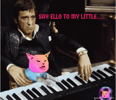Man Playing Piano With Cat GIF