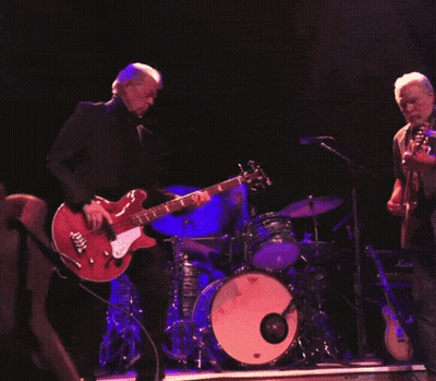 Man Playing Red Guitar In Front Of Marshall Amplifier GIF