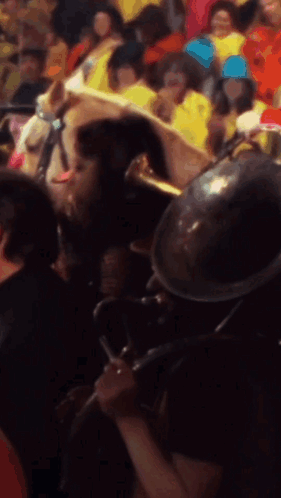 Man Playing Trumpet In Crowd GIF