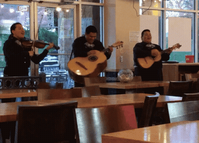 Man Playing Violin And Women Playing Guitars GIF