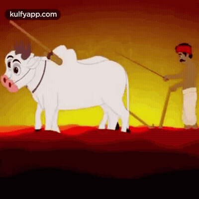Man Ploughing Field With Cow Pulling Plow GIF