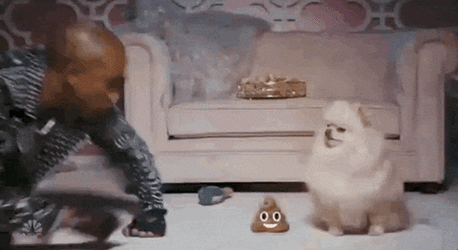 Man Pointing At Poop Beside His Dog GIF