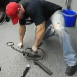 Man Punches Bear Trap GIF