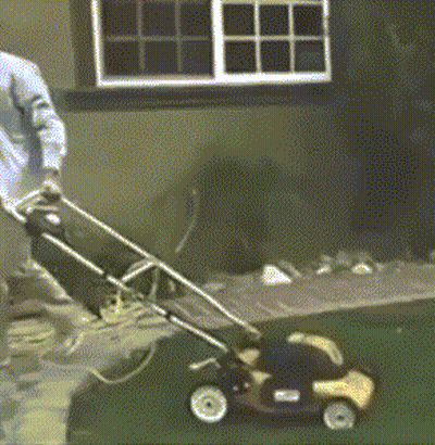 Man Pushing Lawn Mower GIF