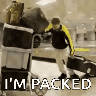 Man Pushing Luggage Cart At Airport GIF