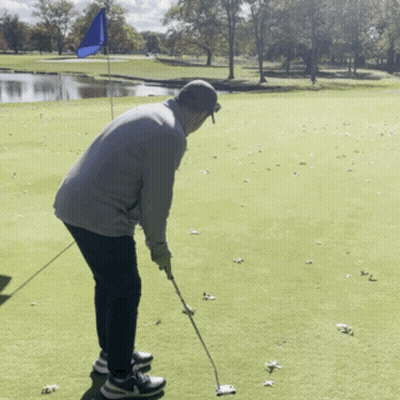 Man Putting Golf Ball GIF