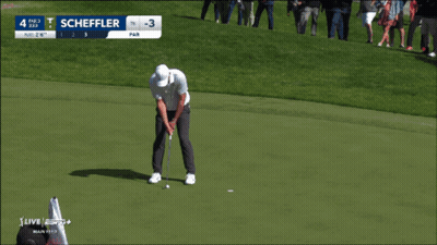 Man Putting Golf Ball On Green GIF
