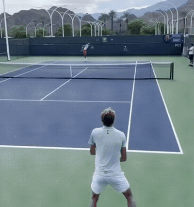 Man Ready To Serve Tennis Ball GIF