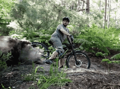 Man Riding Bike In Woods GIF