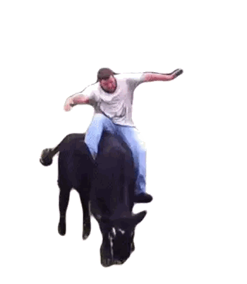 Man Riding Black Bull Sticker