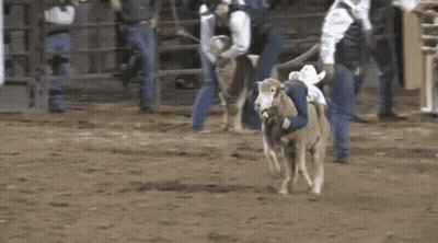 Man Riding Bull In Rodeo GIF
