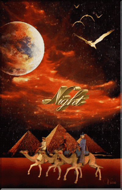 Man Riding Camel Caravan Saying Night GIF