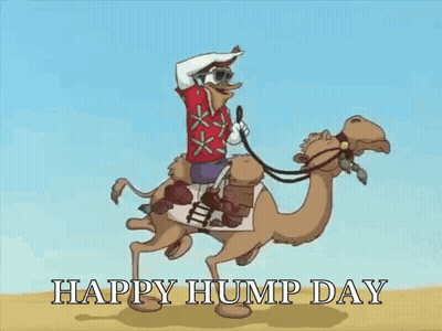 Man Riding Camel Happy Hump Day GIF