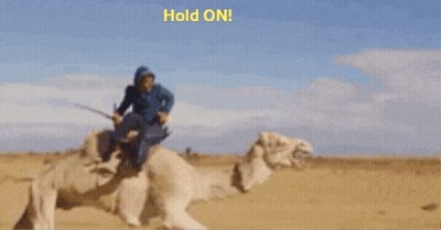 Man Riding Camel We're Halfway To Friday GIF