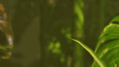 Man Riding Dinosaur Holding Gun GIF