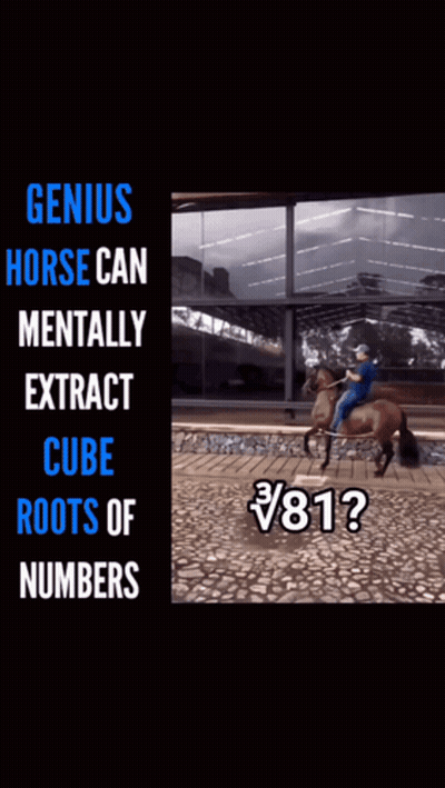 Man Riding Genius Horse Cube Roots GIF