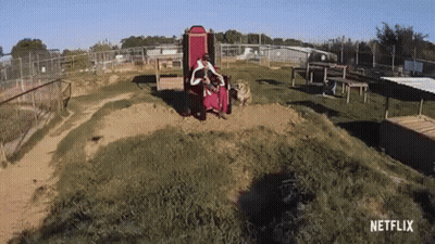 Man Riding Goat Saying Is It A Monkey Riding A Goat GIF