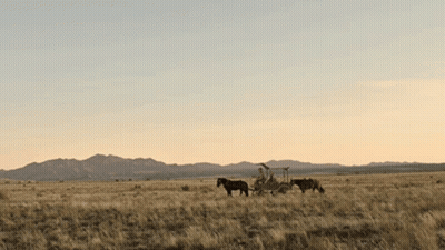 Man Riding Horse-Drawn Carriage Across Dry Grass Field GIF