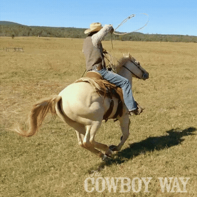 Man Riding Horse In Field Cowboy Way GIF