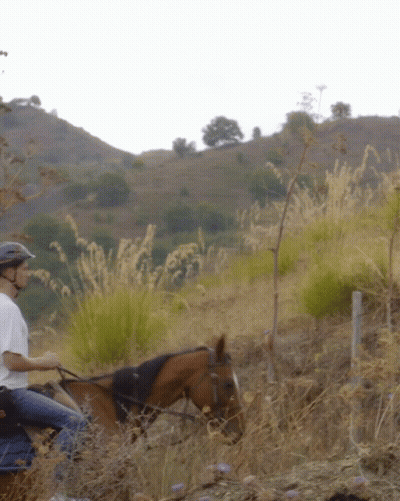 Man Riding Horse In Tall Grass GIF