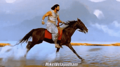 Man Riding Horse In Water @Mikelvelayudham GIF