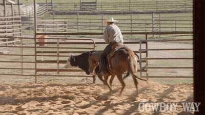 Man Riding Horse Near Cowboy Way Sign GIF