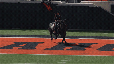 Man Riding Horse On Field With Letter F GIF