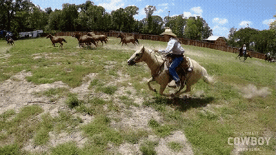 Man Riding Horse Saying Ultimate Cowboy Brewing GIF