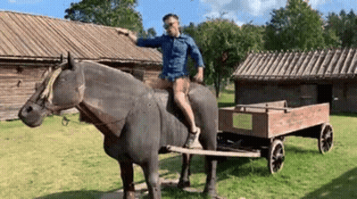 Man Riding Horse Statue Pulling Cart GIF