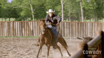 Man Riding Horse Ultimate Cowboy Showdown GIF