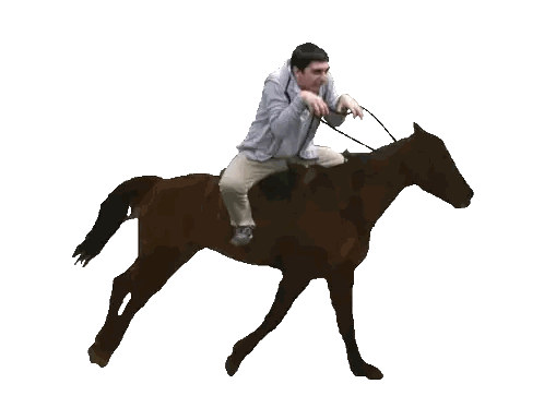 Man Riding Horse With Bridle Sticker