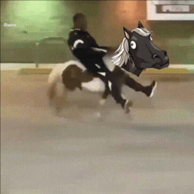 Man Riding Horse With Cartoon Horse Head GIF