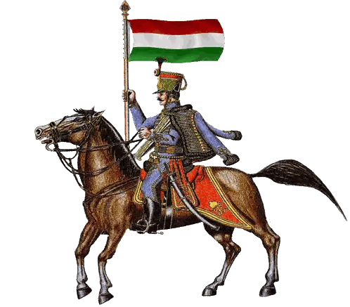 Man Riding Horse With Hungarian Flag Sticker