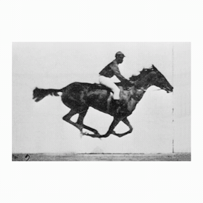 Man Riding Horse With Number 15 GIF