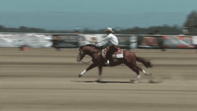 Man Riding Horse With Tag 524 GIF