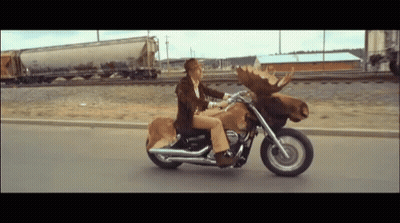 Man Riding Motorcycle With Moose Head GIF