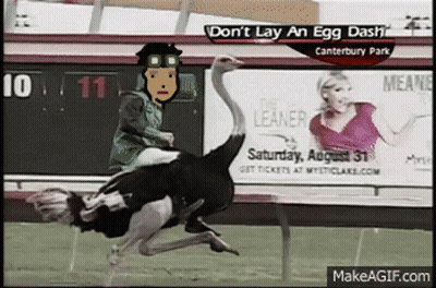 Man Riding Ostrich Don't Lay An Egg GIF