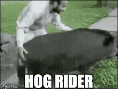 Man Riding Pig Saying Hog Rider GIF