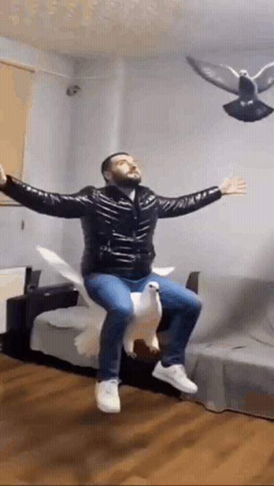 Man Riding Pigeon With Arms Outstretched GIF