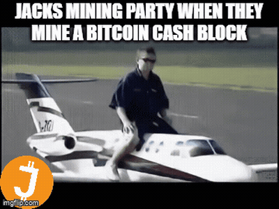 Man Riding Plane Mining Bitcoin Cash GIF