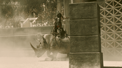 Man Riding Rhino In Arena Saying Gladiator GIF