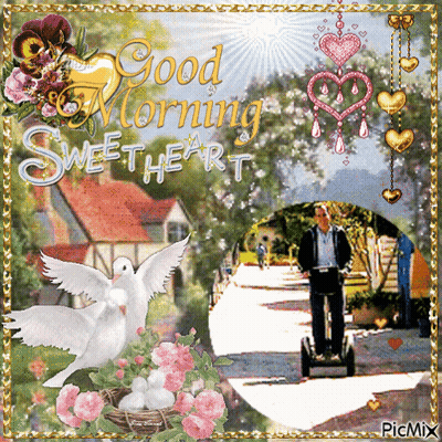 Man Riding Segway Saying Good Morning Sweetheart GIF